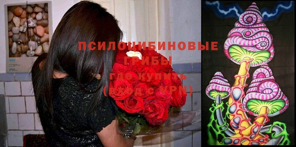 mix Алексин